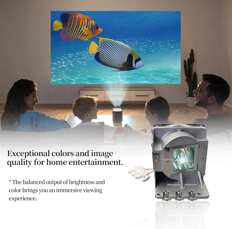 SORNEICDR SP LAMP-086/5J.JEL05.001/BL-FP190C Replacement Projector Lamp Bulb Compatible with INFOCUS IN112A, IN114A, IN114STa, IN116A, IN118HDa, IN118HDSTA/OPTOMA DS311, DS331, H111, H181X Projectors - Image 5